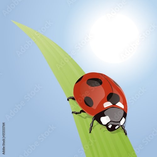 COCCINELLE_Feuille_Soleil