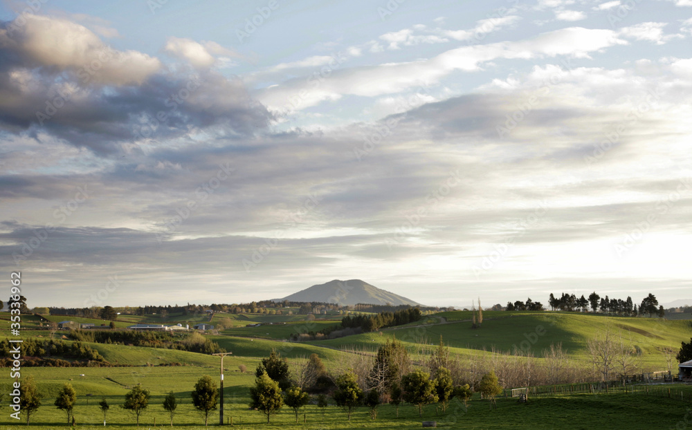 Fototapeta premium Farmland