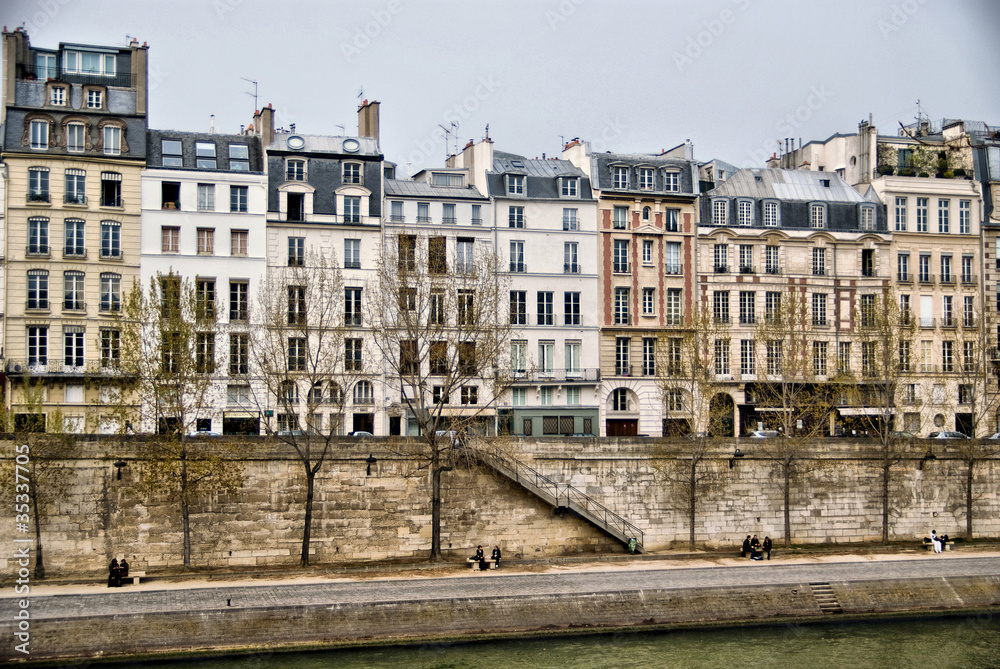 Ile de la cite from the Seine river
