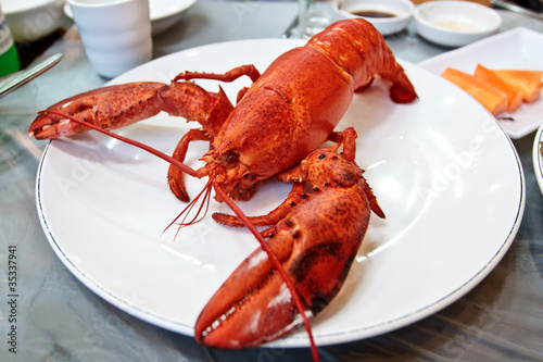 Boiled lobster on a plate