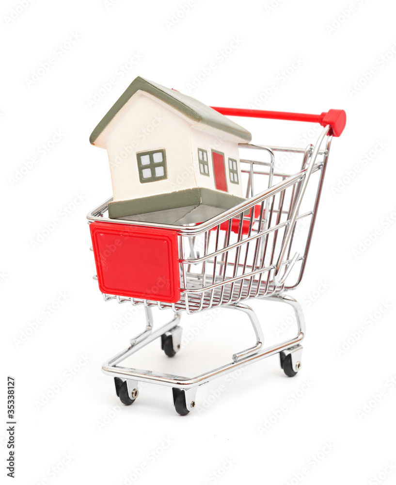 shopping cart trolley with house shopping cart trolley with house