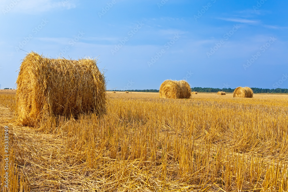 Stacks in the field