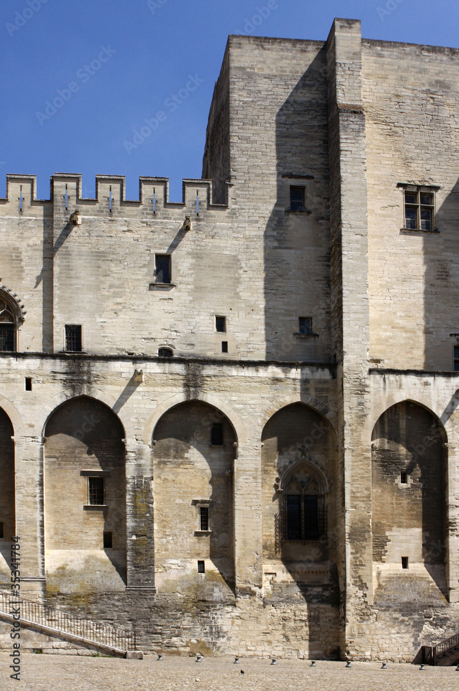 Avignone Il palazzo dei Papi