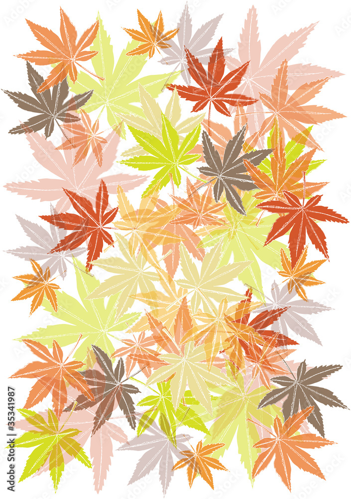 autumn maple leaves illustration