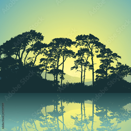 Trees Silhouette with Reflection in Water