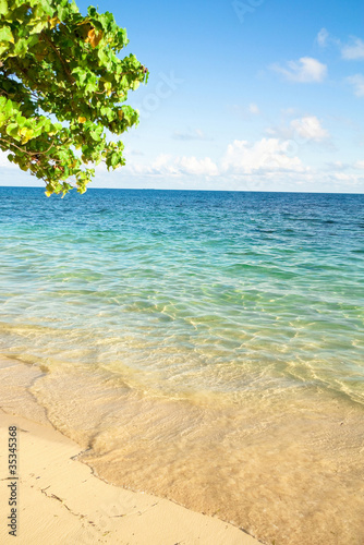 Maldives Season Shore