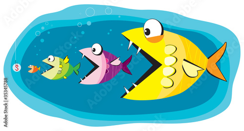 Fish and bait