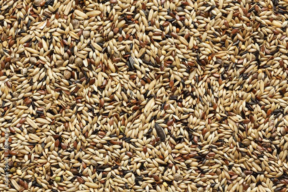 Hintergrund aus Samen und Körnern