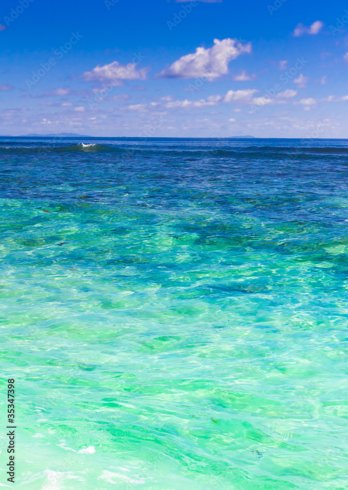 Paradise Tropical Scene Paradise Tropical Scene