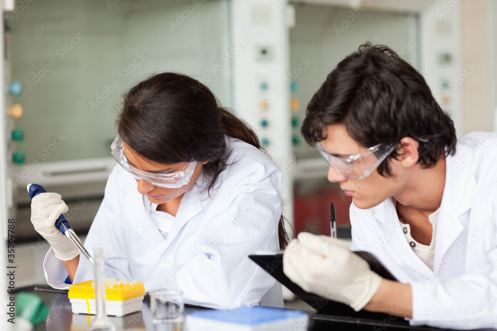 Focused scientists working Focused scientists working