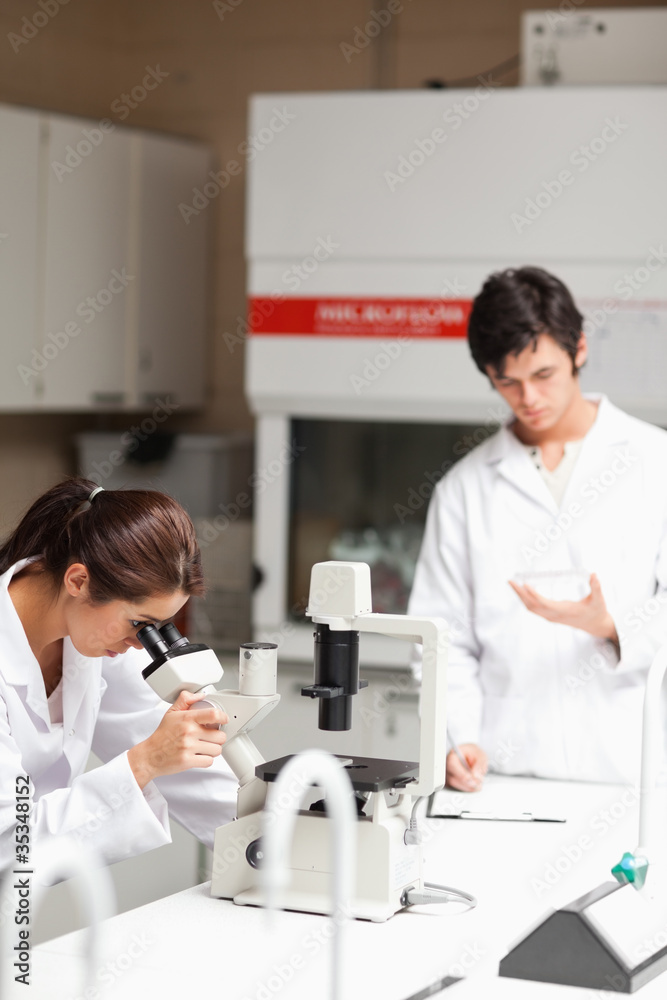Portrait of young science students making experiments Portrait of young science students making experiments