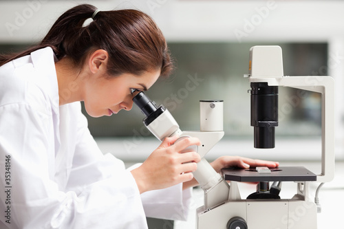 Focused female science student looking in a microscope