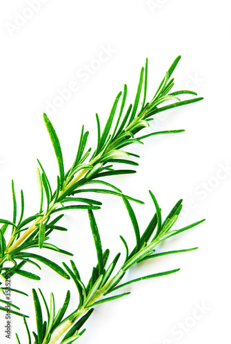 Rosemary