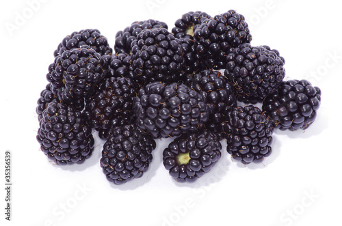 blackberry