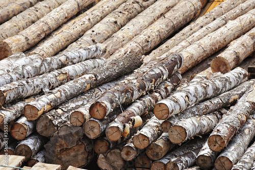 stack of logs as background