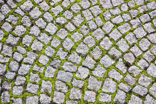 Cobblestone pavement with moss growing between stones