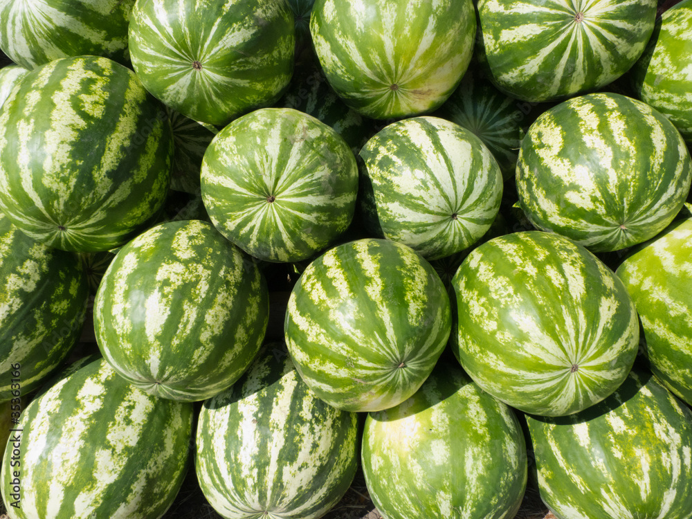 Watermelons heap Watermelons heap