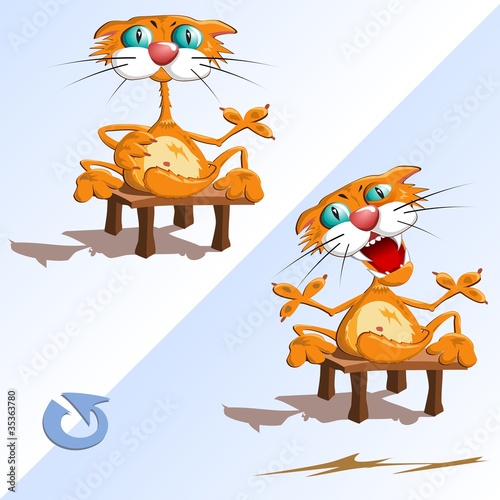 Сute cat