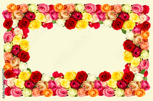 roses. colorful flowers frame
