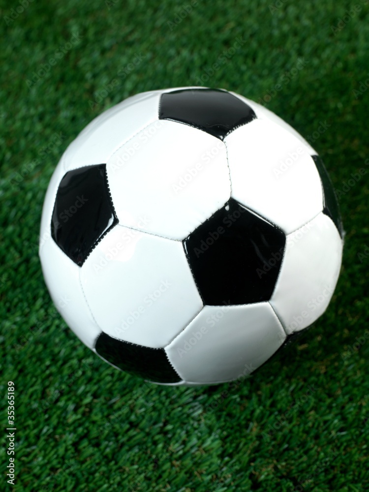 Soccer Soccer