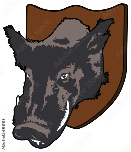 Wild Boar's Head