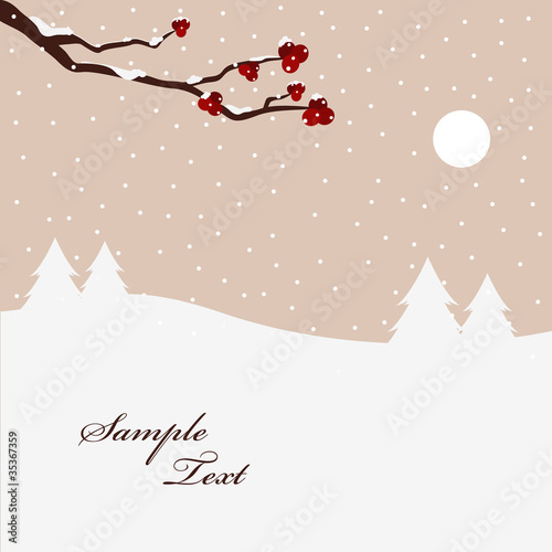 winter scene