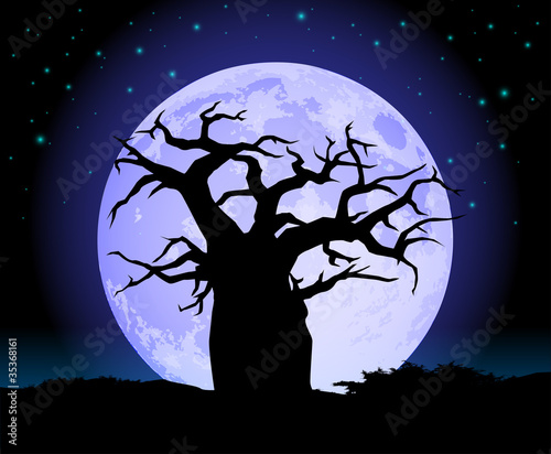 Baobab Tree with moon silhouette
