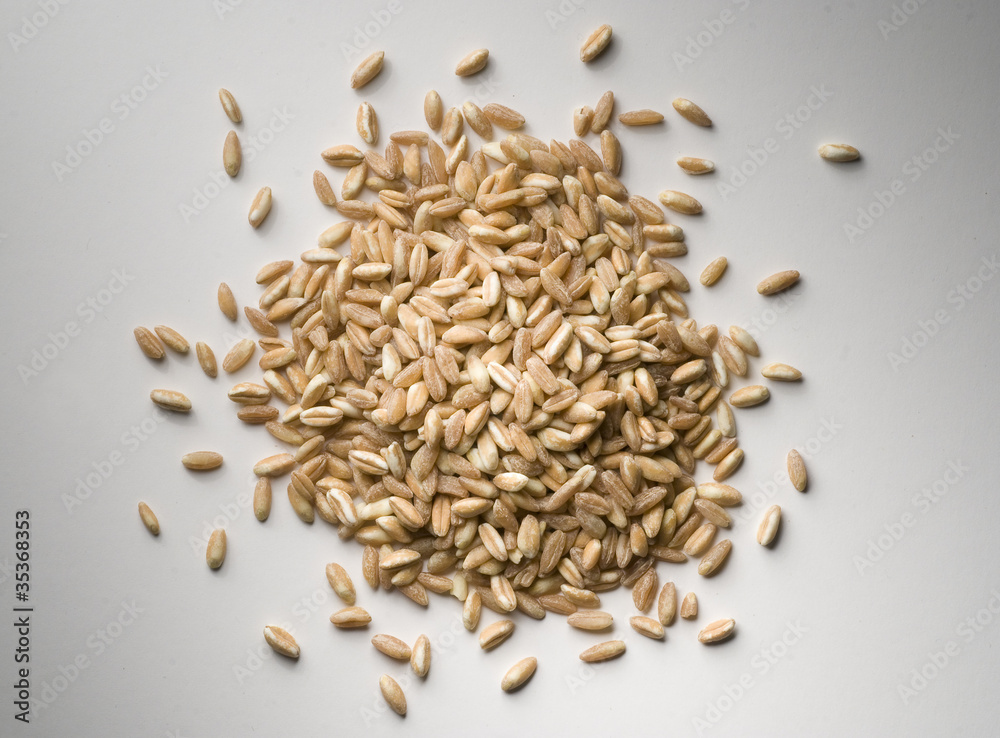 wheat grains