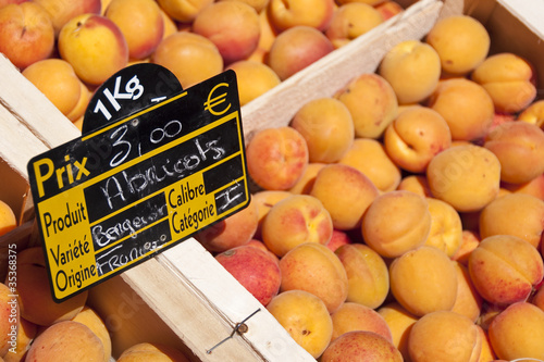 Abricots au marché photo