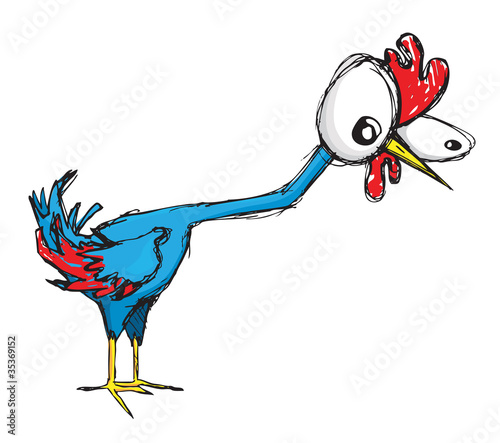 Clueless chicken