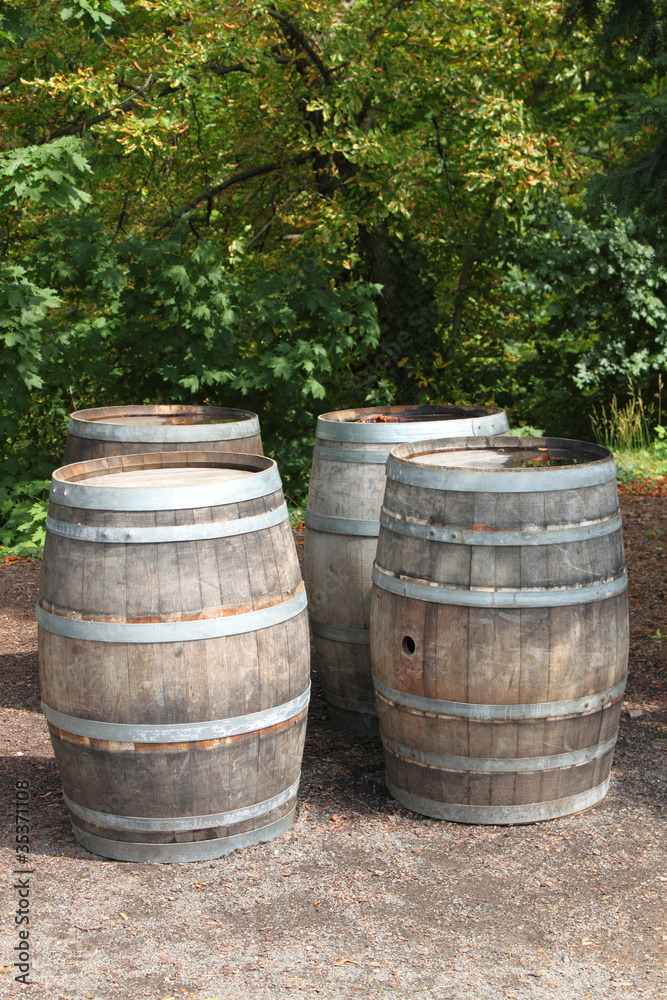 Old wine barrels Old wine barrels