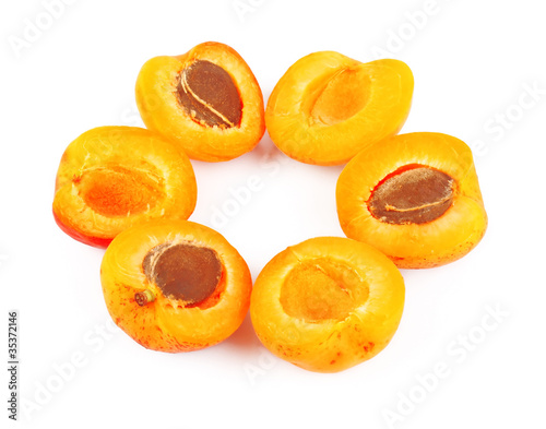 Apricots in round