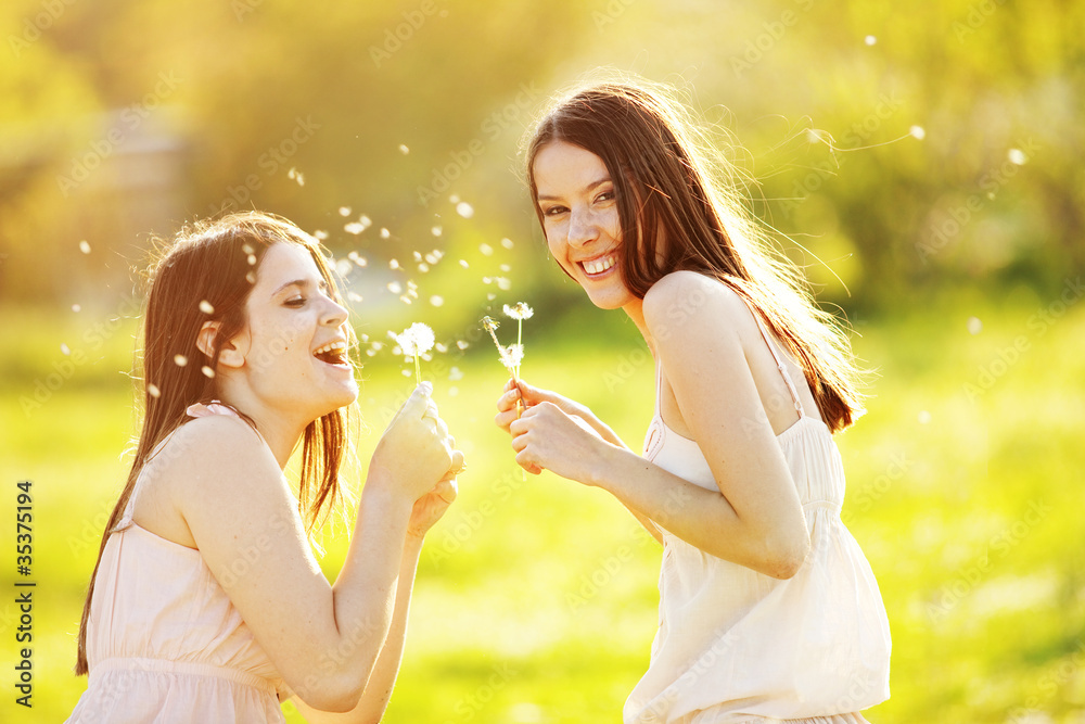 Fototapeta premium Dandelions