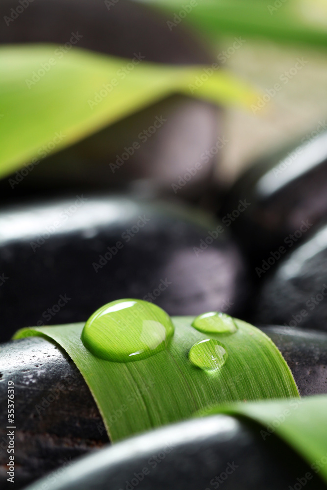 Fototapeta premium Goutte d'eau, pierres, feuilles de bambou et galets