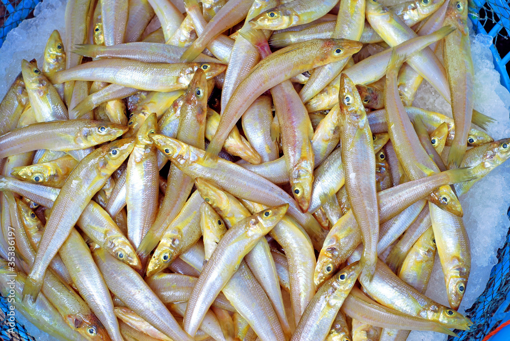 Xiamen street market whiting Xiamen street market whiting