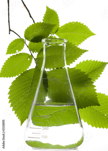 Retort and leaf