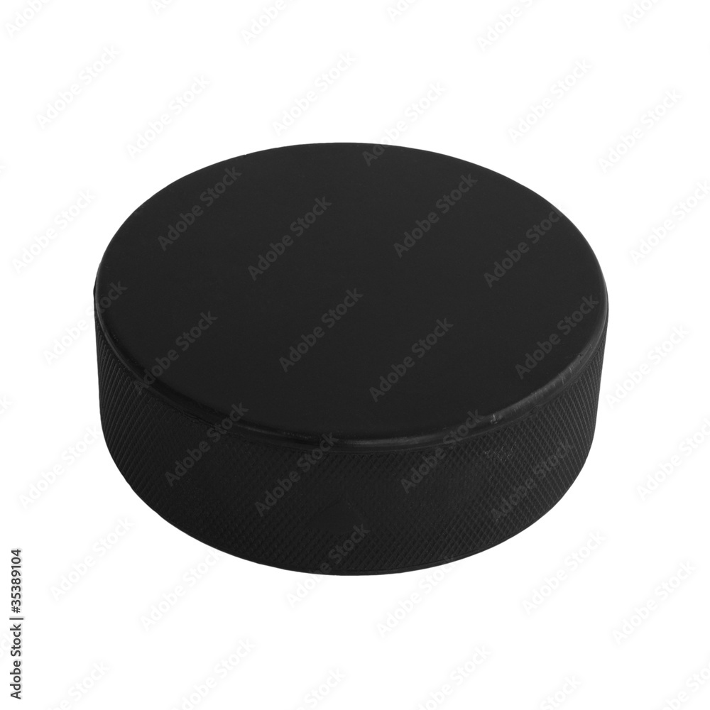 Hockey Puck Hockey Puck