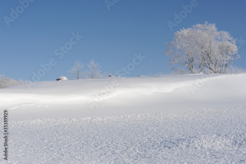 White winter landscape in Hokkaido, Japan © piotrmilewski