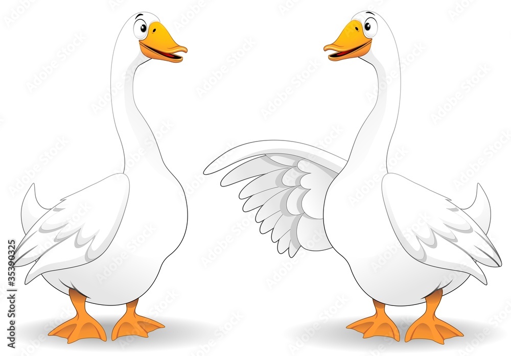 Oche Fumetto Parlando-Goose Duck Talking-Vector - obrazy, fototapety, plakaty 