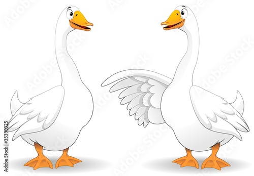 Oche Fumetto Parlando-Goose Duck Talking-Vector photo