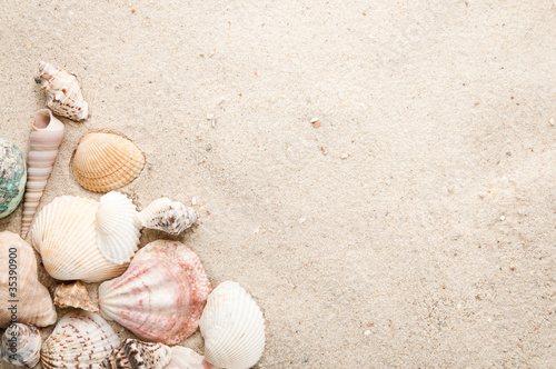 Beach with seashell and sand