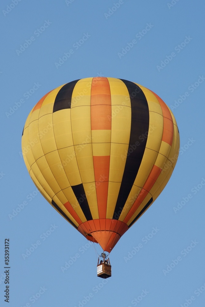 Naklejka premium Montgolfiere #50