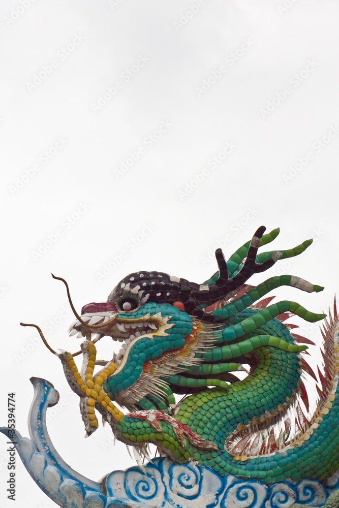 Dragon Dragon
