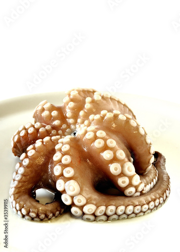 Raw octopus