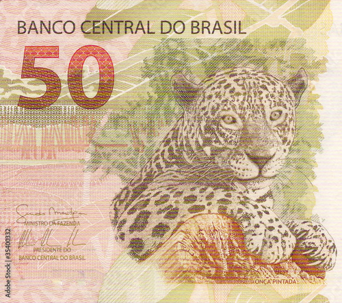 jaguar (panthera onca) artwork on 50 reais banknote from brazil