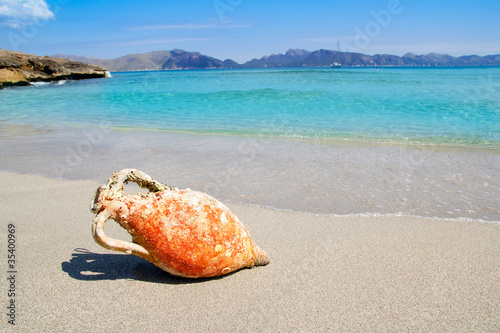 Alcudia Beach Mallorca with roman amphora