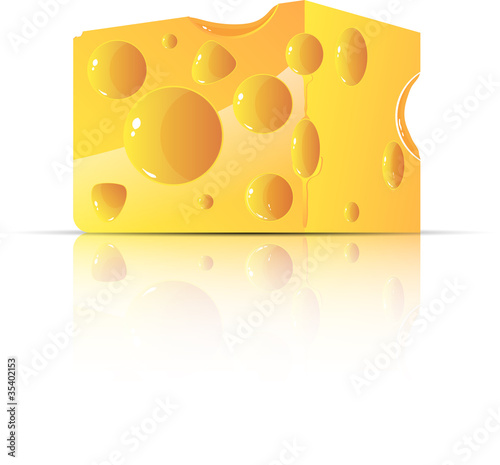 cheese vector