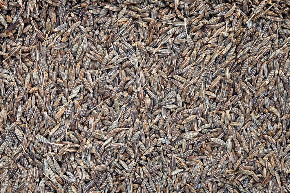 Whole Cumin Seeds Full Frame Food Background Whole Cumin Seeds Full Frame Food Background