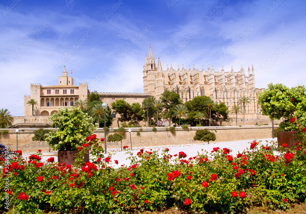 Majorca Cathedral and Almudaina from red flowers garden
