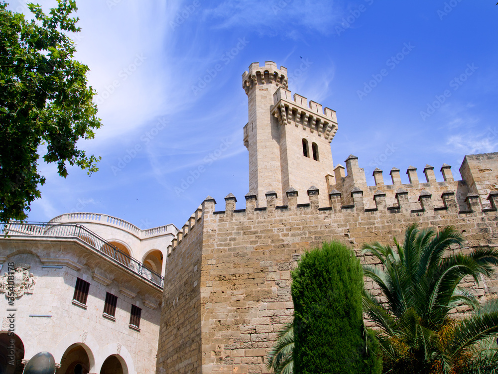 Almudaina palace in Palma de Mallorca from Majorca